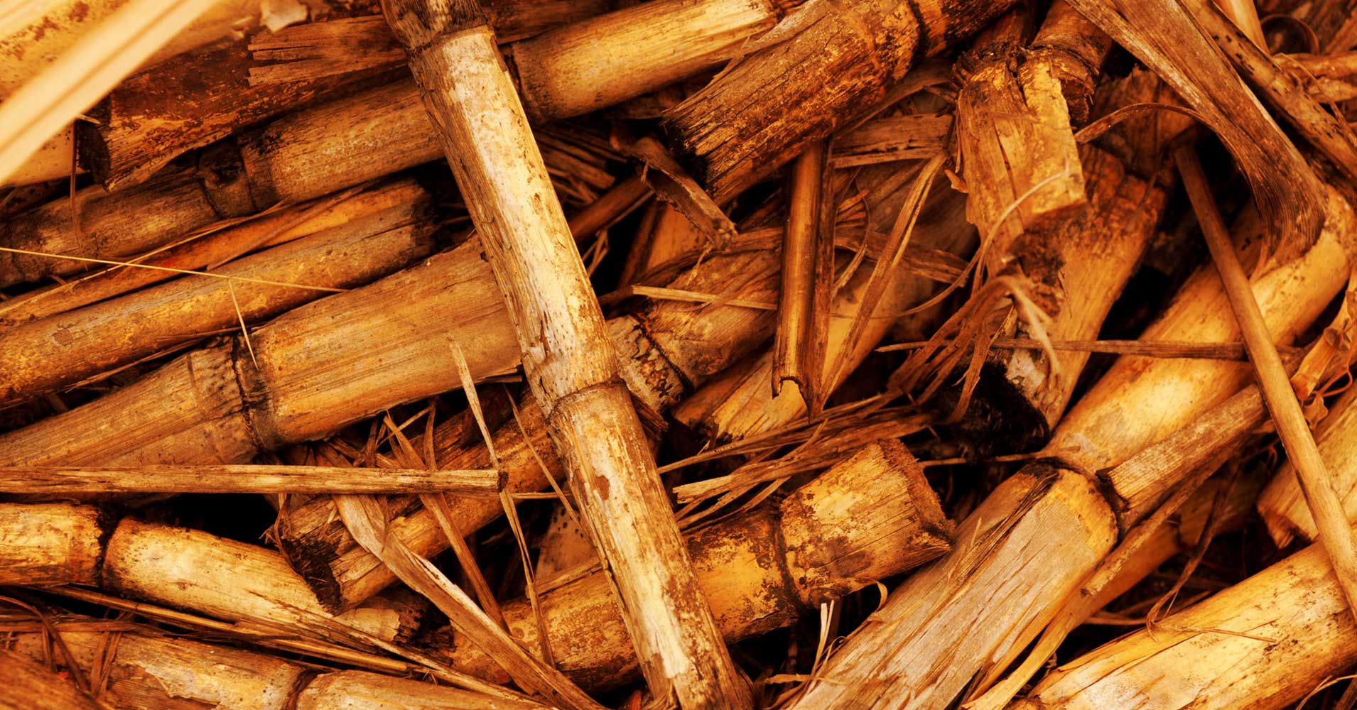 This Island Nation is Getting Power From Sugarcane Instead of Oil