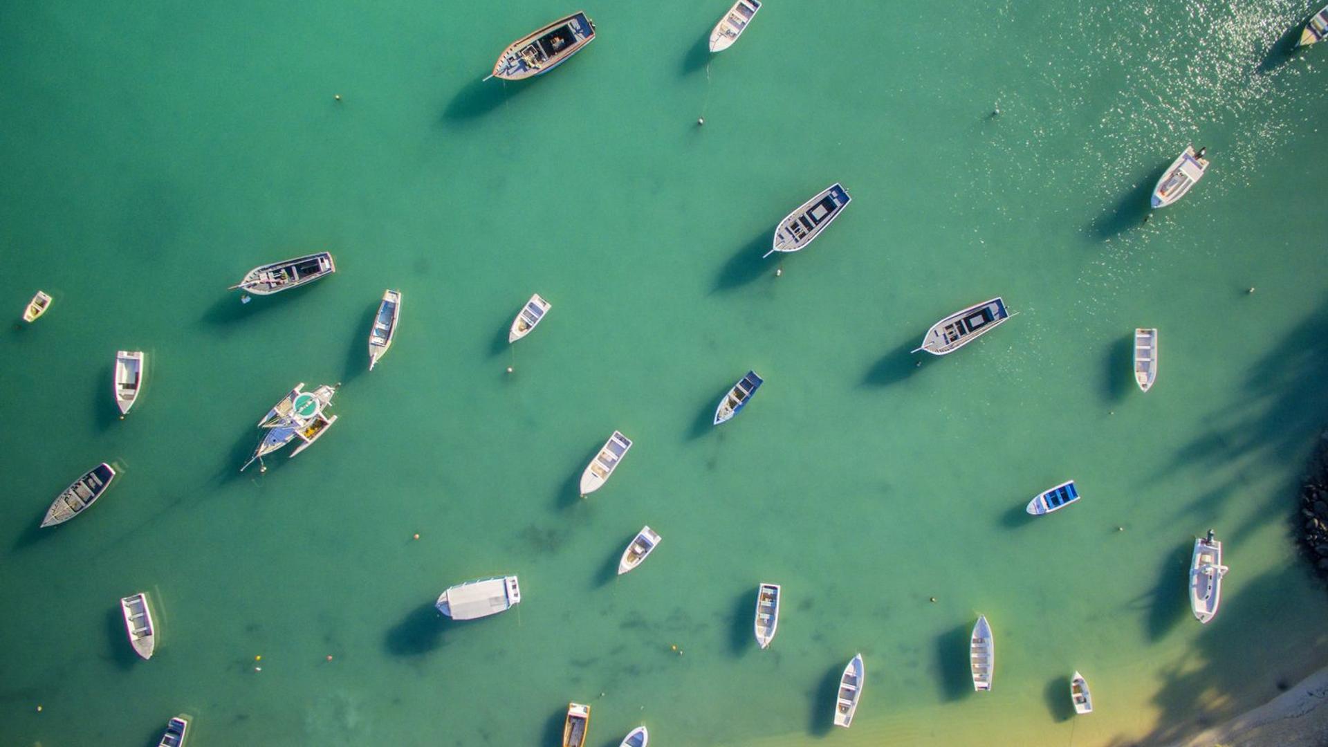 ConsenSys, Nation of Mauritius in Talks to Create 'Ethereum Island'